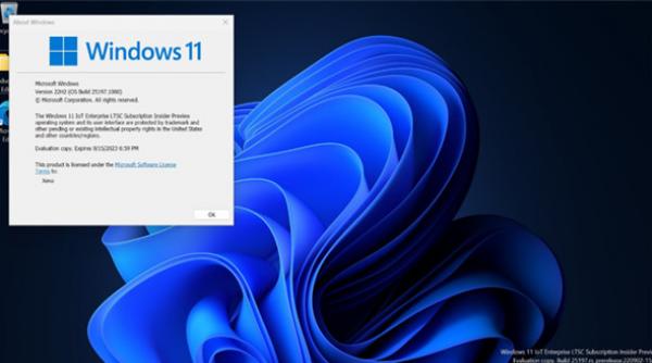΢Win11 22H2 LTSCع⣬µġϡ汾