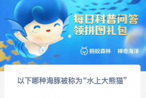 �������ֺ��౻��Ϊˮ�ϴ���è���ĸ��������Ϻ���
