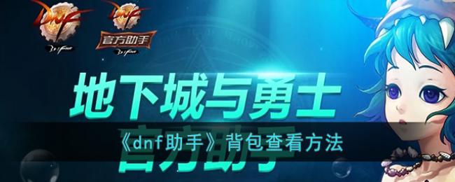 dnfֱ鿴