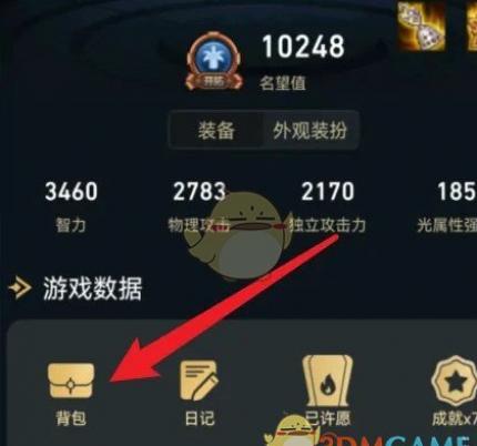 dnfֱ鿴