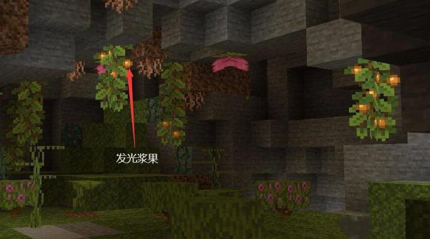 ҵ緢⽬ʲô