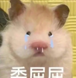 ѽȫ