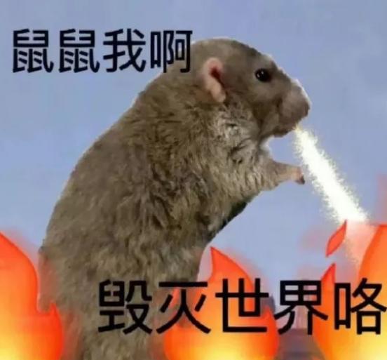 ѽȫ
