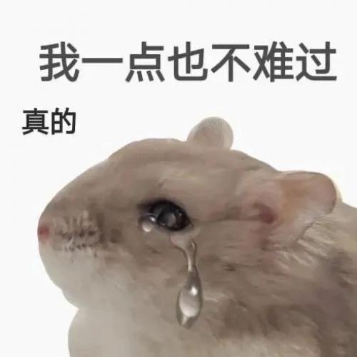 ѽȫ