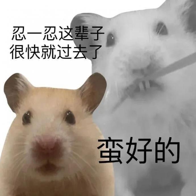 ѽȫ