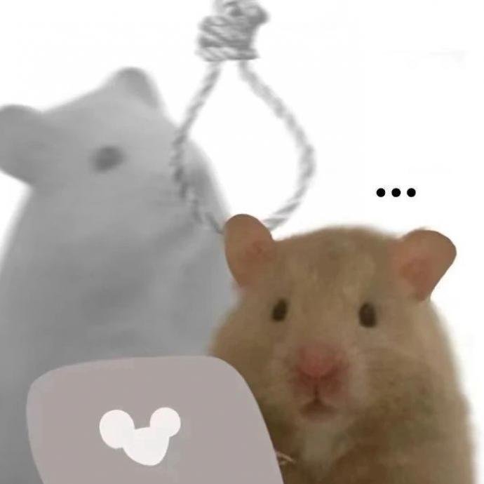 ѽȫ