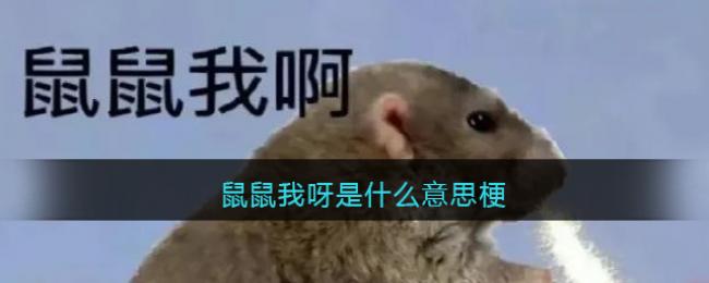 ѽʲô˼