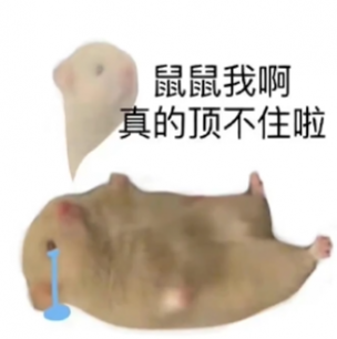 ѽʲô˼