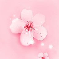 �һ��㳡ֱ��