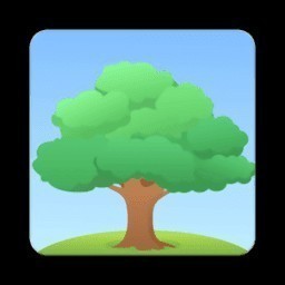 �����в���app����