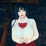 ʧ�ٵ���Ův1.4������ֱװ�氲׿