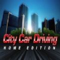 citycardriving�����ֻ���