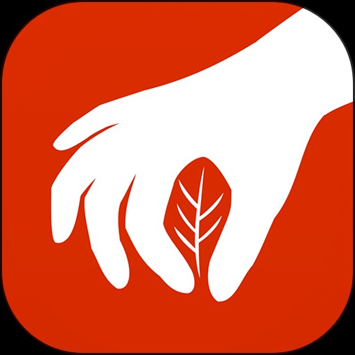 ҩ�ɲ�app