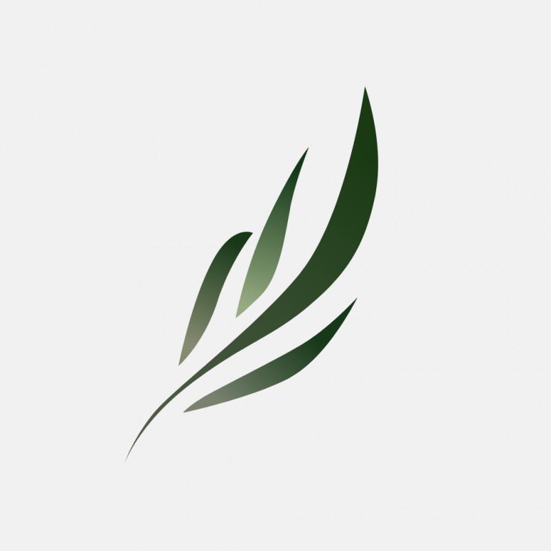 ����С˵app���¼��