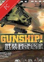 ��װֱ����gunship���԰� v1.0������