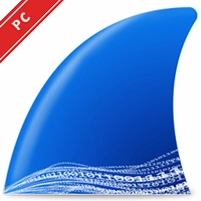 wireshark���԰� v4.4.5