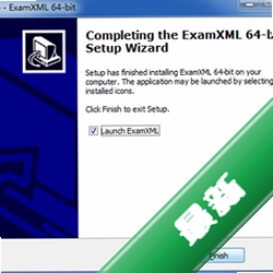 examexamxmlxml