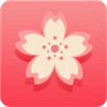 梅花视频app免费版