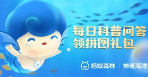 ͨʲôɫ_֧溣7.232025