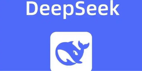 deepseek������ô��_��ô��deepseek������������