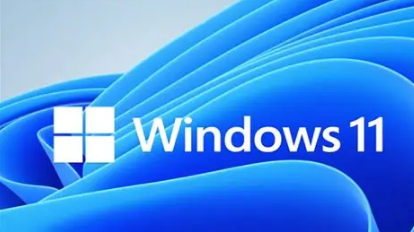 windows11רҵ����Կ����2025����_2025����windows11רҵ������������Կ����