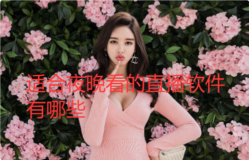�ʺ�ҹ������ֱ����������Щ