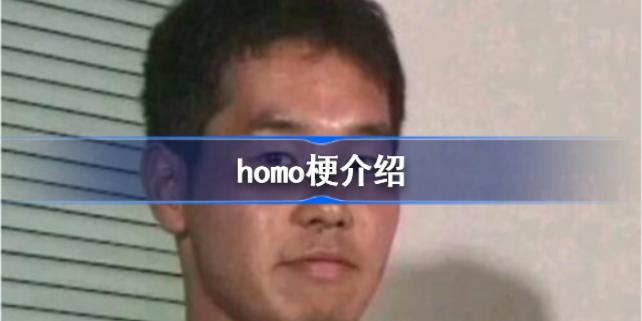 homo�޴�����ʲô��-homo���е���ʲô��