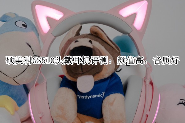 ˶����GS510ͷ���������⣺��ֵ�ߣ����ʺ�