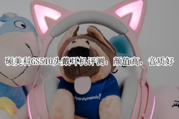 ˶����GS510ͷ���������⣺��ֵ�ߣ����ʺ�