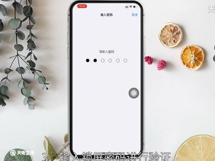 iPhone���һ�ϻ��������룬ƻ���ϻ�ֱ��������