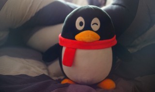 ���°�qq��ô������ ���°�qq��ô�����չ涨ʱ��