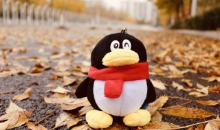 qq�ж����ҷ�������ô�� ƻ���ֻ�qq�ж����ҷ�������ô��
