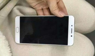 oppo�ֻ������򲻿���ô�� �п��������ԭ��