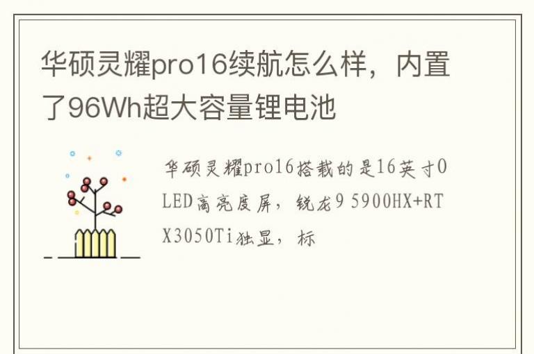 ��˶��ҫpro16������ô����������96Wh��������﮵��