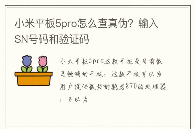С��ƽ��5pro��ô����α������SN�������֤��