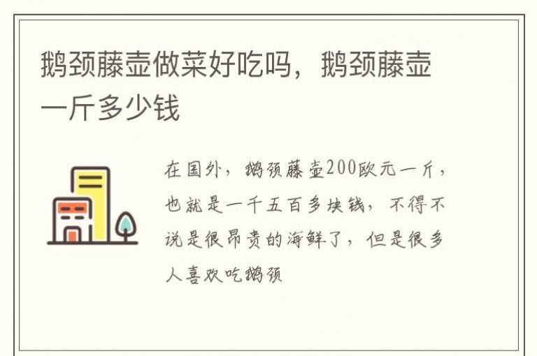 �쾱�ٺ����˺ó��𣬶쾱�ٺ�һ�����Ǯ