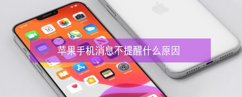 iPhone�ֻ���Ϣ������ʲôԭ��