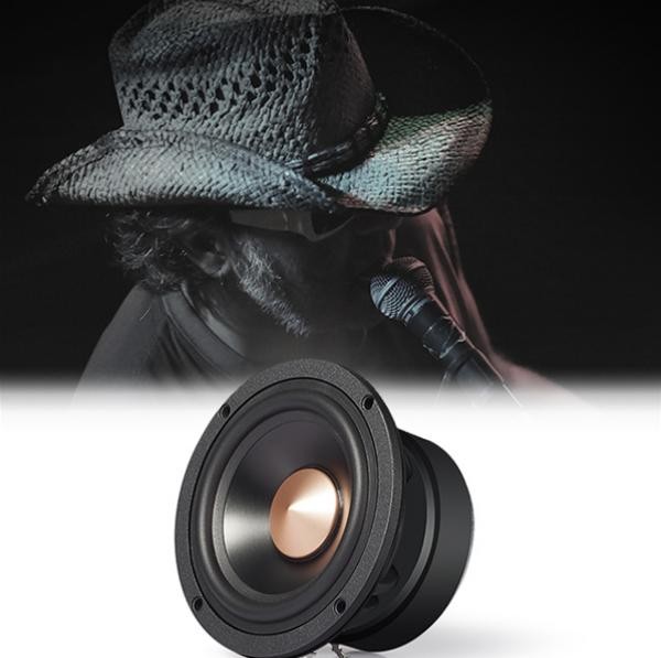 ������S301���⣺ӵ������Ч������