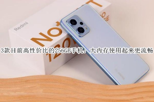 3��Ŀǰ���Լ۱ȵ�256GB�ֻ������ڴ�ʹ������������