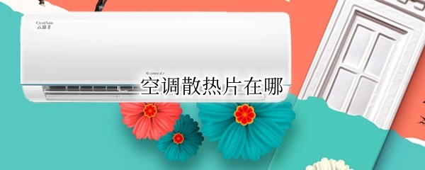 �յ�ɢ��Ƭ����