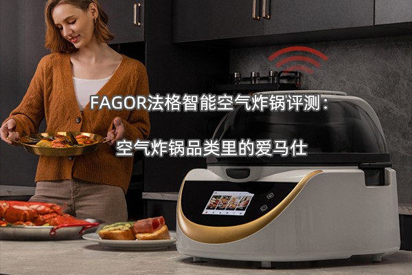 FAGOR�������ܿ���ը�����⣺����ը��Ʒ����İ�����