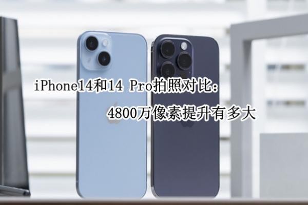 iPhone14��iPhone14 Pro���նԱȣ�4800�����������ж��