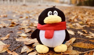 qq��ȫ������ô���ߣ�qq��ȫ������ô���߷����ԣ�
