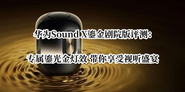��ΪSound X�̽��Ժ�����⣺ר���̹���Ч ������������ʢ��
