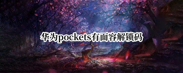 ��Ϊpockets�����ݽ�����