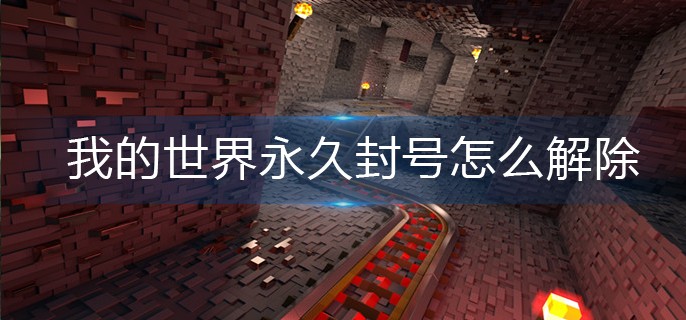 �ҵ��������÷����ô���