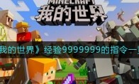 �ҵ����羭��9999999��ָ����ʲô