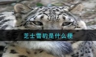 ֥ʿѩ����ʲô��