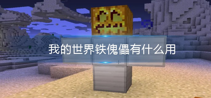 �ҵ�������������ʲô��