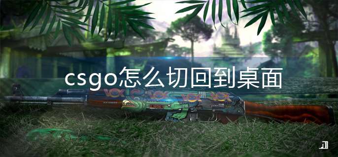csgo��ô�лص�����